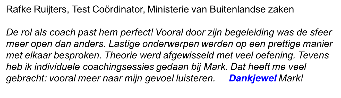 R. Ruijters_BuZa.png