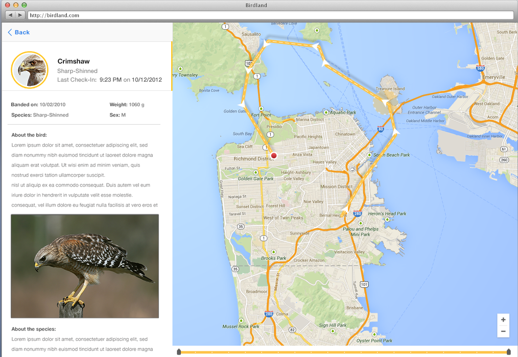 Adobe XD &amp; Golden Gate Raptor Observatory