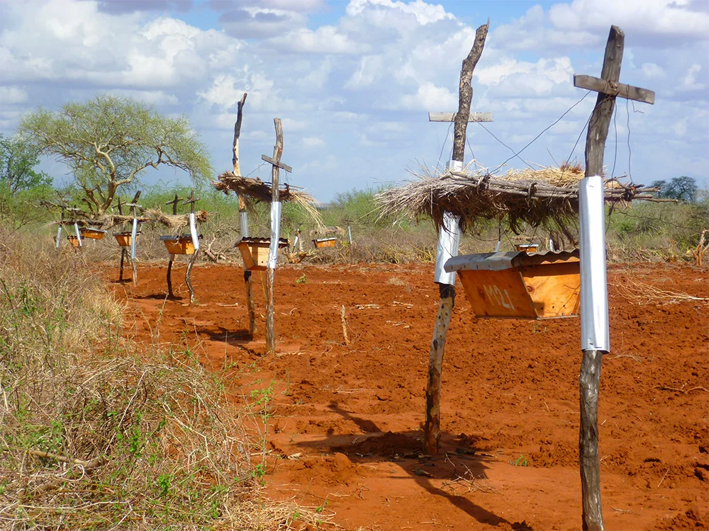 Defending small farms with a small solution