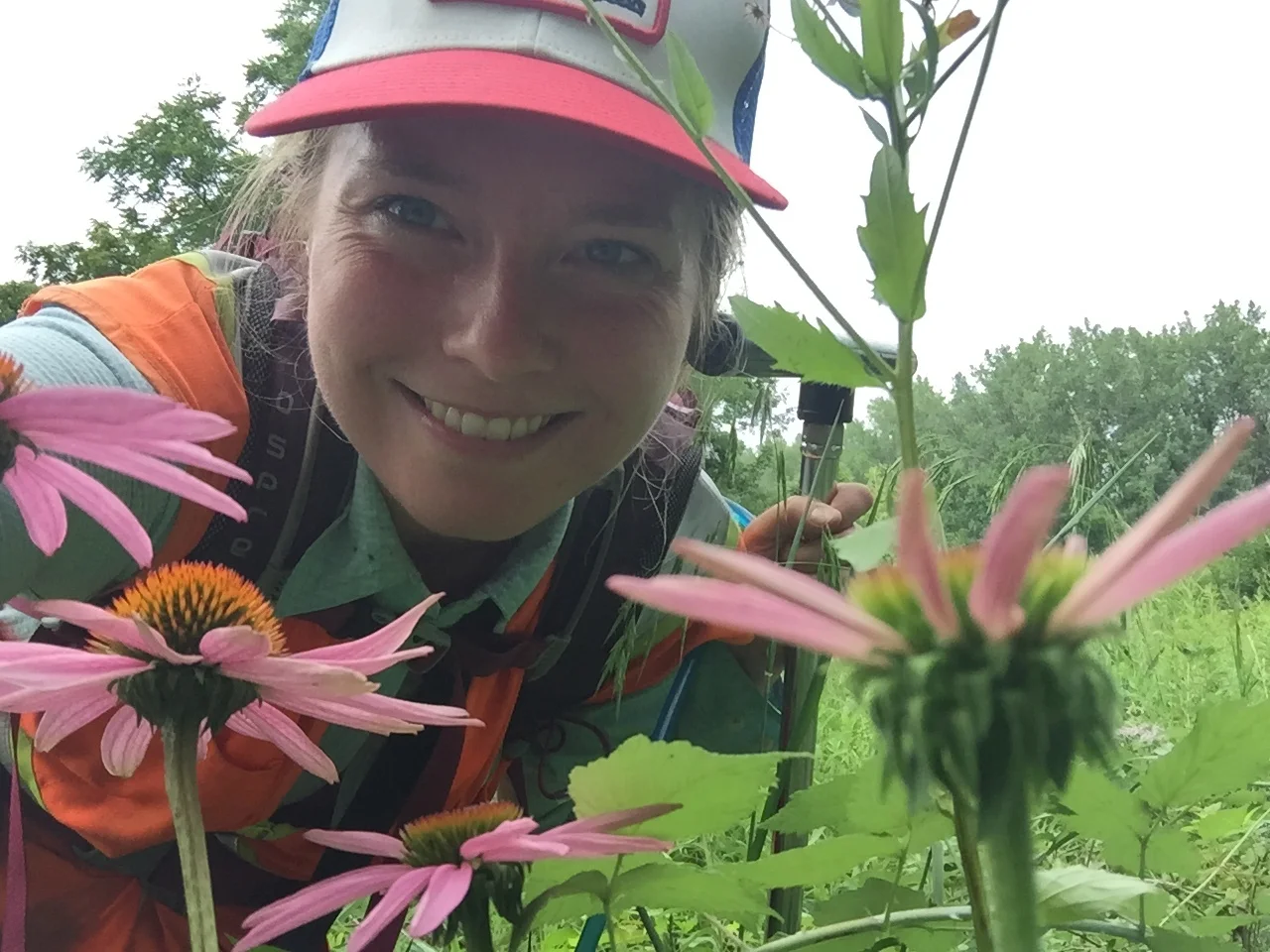 Midwest Botany Photo Gallery