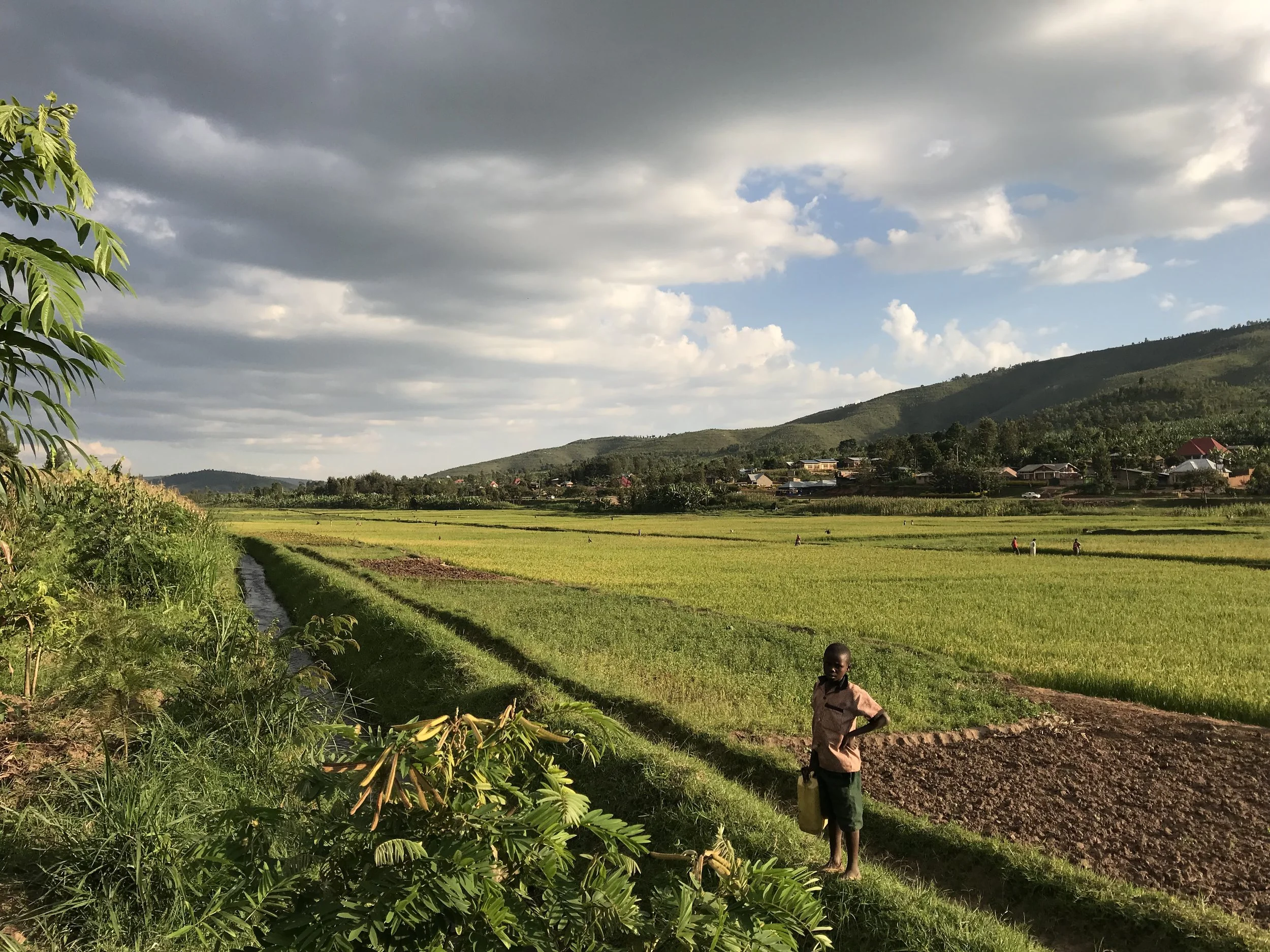 Whoa, You Must Be A Pro!