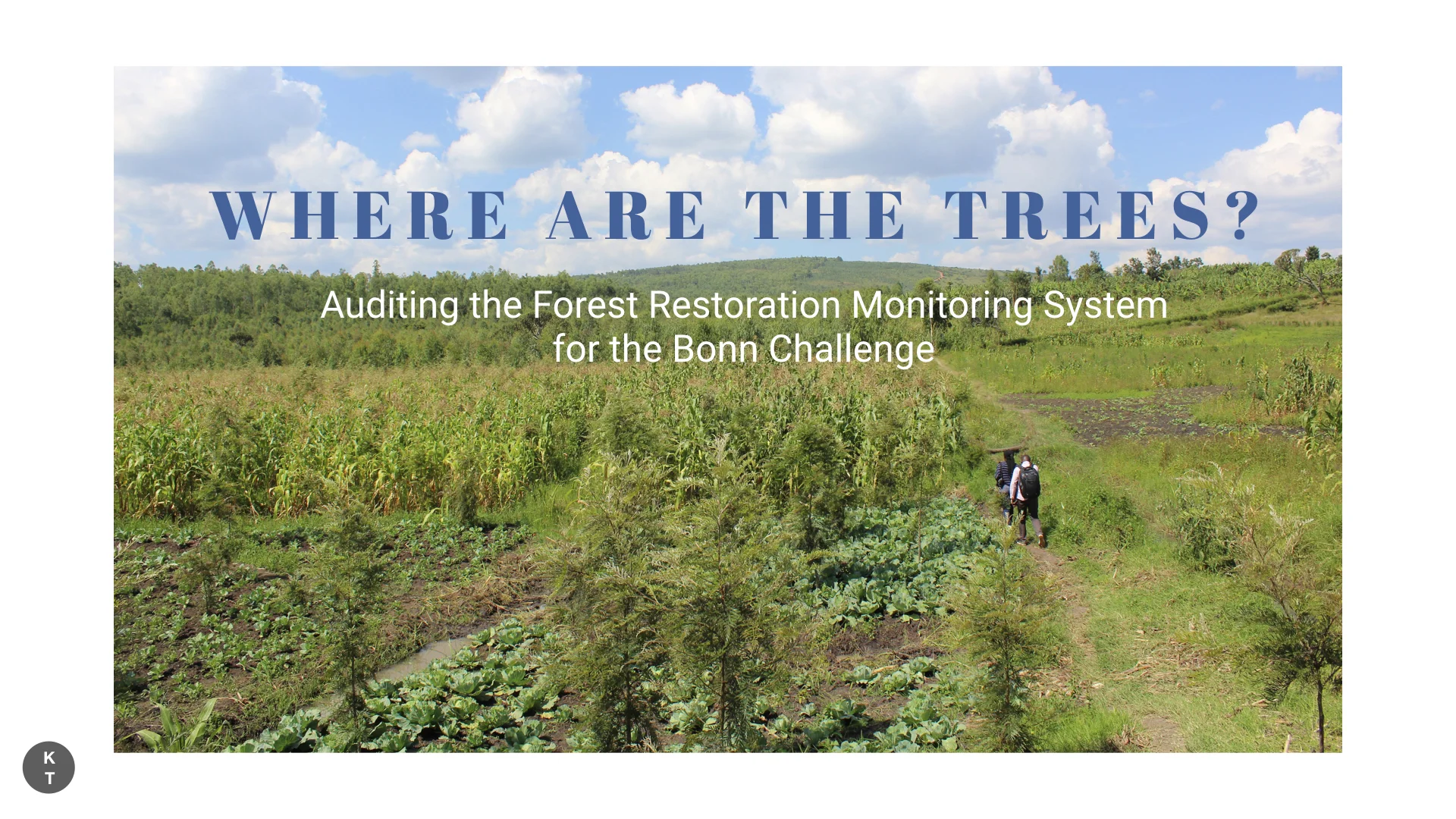 Auditing the Forest Restoration Monitoring System for the Bonn Challenge