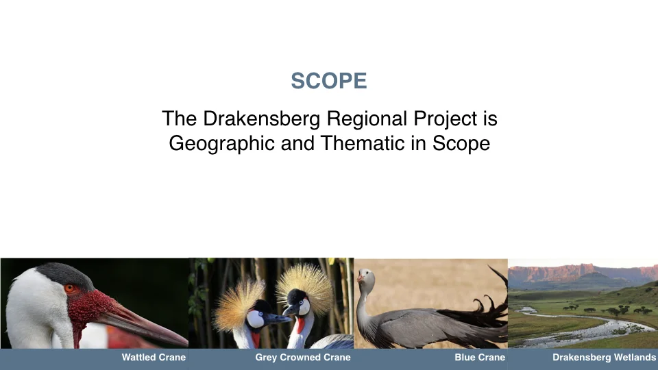 ICF_Crane_WedPPT_FINAL.005.jpeg