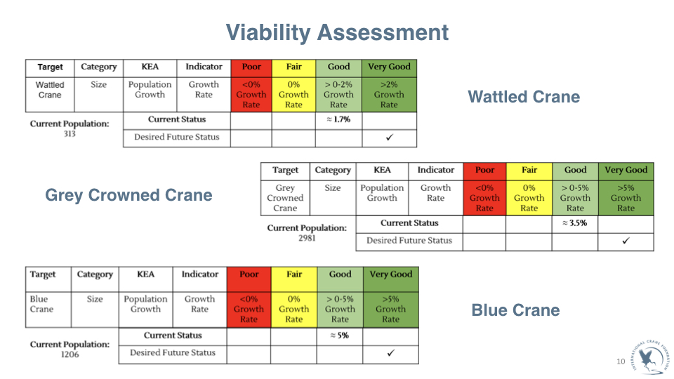 ICF_Crane_WedPPT_FINAL.010.jpeg