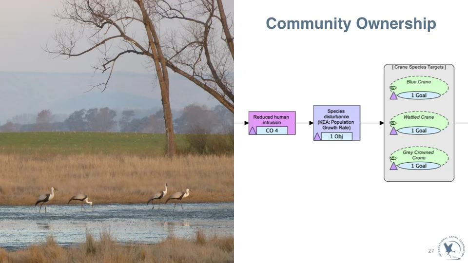 ICF_Crane_WedPPT_FINAL.027.jpeg