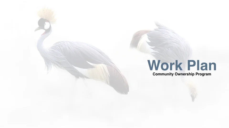 ICF_Crane_WedPPT_FINAL.035.jpeg