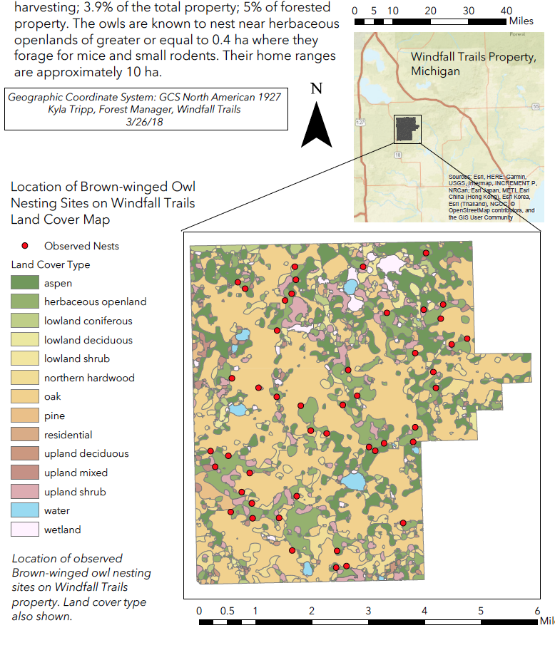 Brown-winged Owl Nesting Impact on Timber Harvest on Windfall Trails Property (2018)