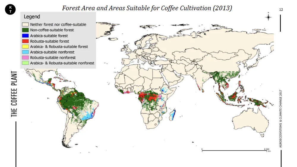 Coffee & Climate.012.jpeg
