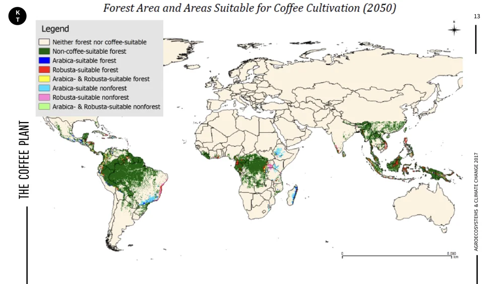 Coffee & Climate.013.jpeg
