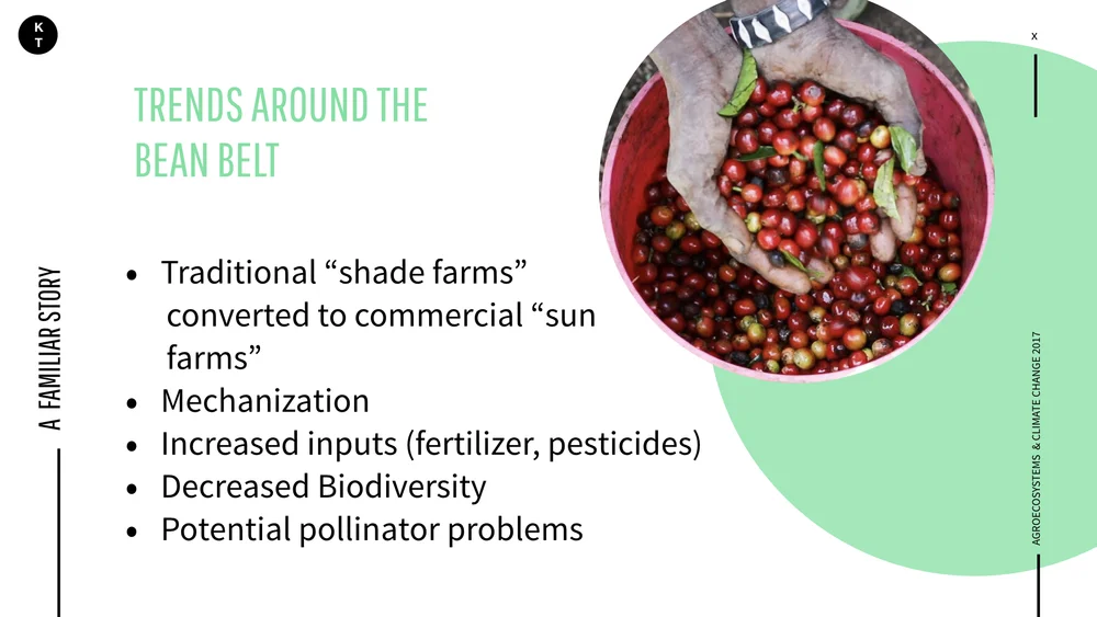 Coffee & Climate.019.jpeg
