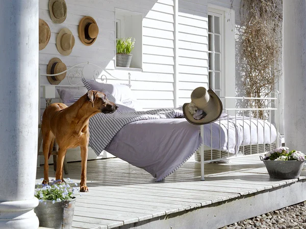 Octobus+Bett+auf+Veranda.jpg