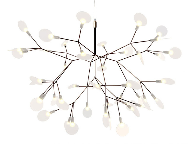 heracleum_small_0.jpg