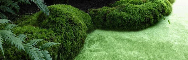 silky+seal+1200,+objekt+carpet.jpg
