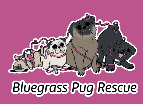 Screenshot 2025-08-17 at 3.43.24 PM.png