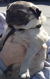 TINKER # 2 - ADOPTED MAY 2014