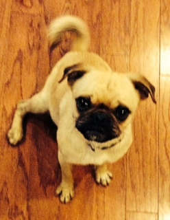 OTIS # 7 - ADOPTED JUNE 2014