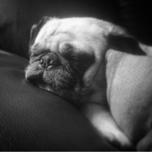 Izzy