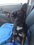 NOVA # 26 - ADOPTED MARCH 2015