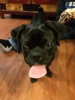 MARGO # 24 - ADOPTED FEBRUARY 2015