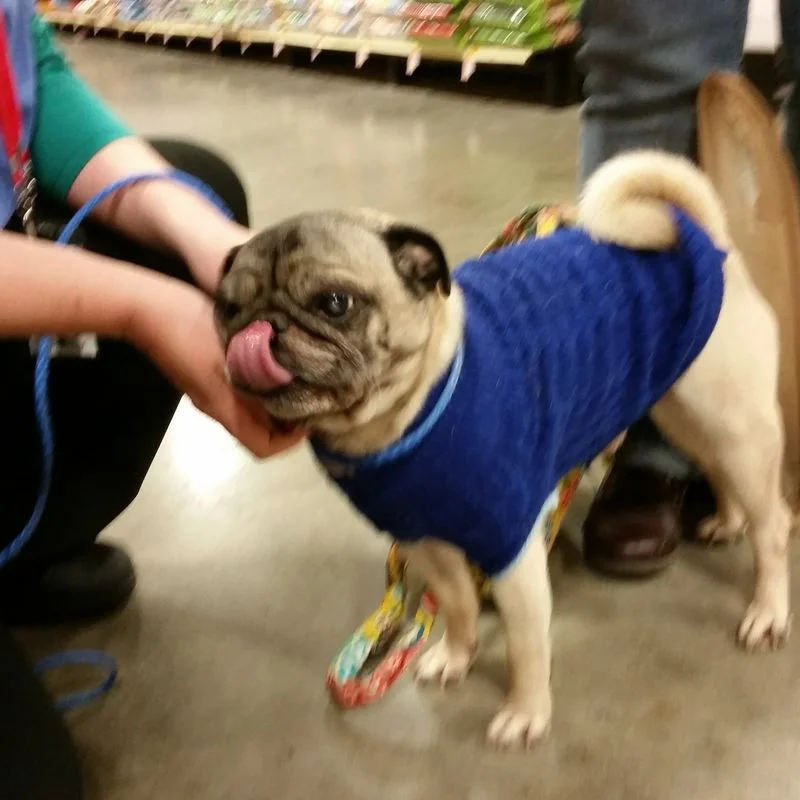 TRIGGER # 41 - ADOPTED AUGUST 2015