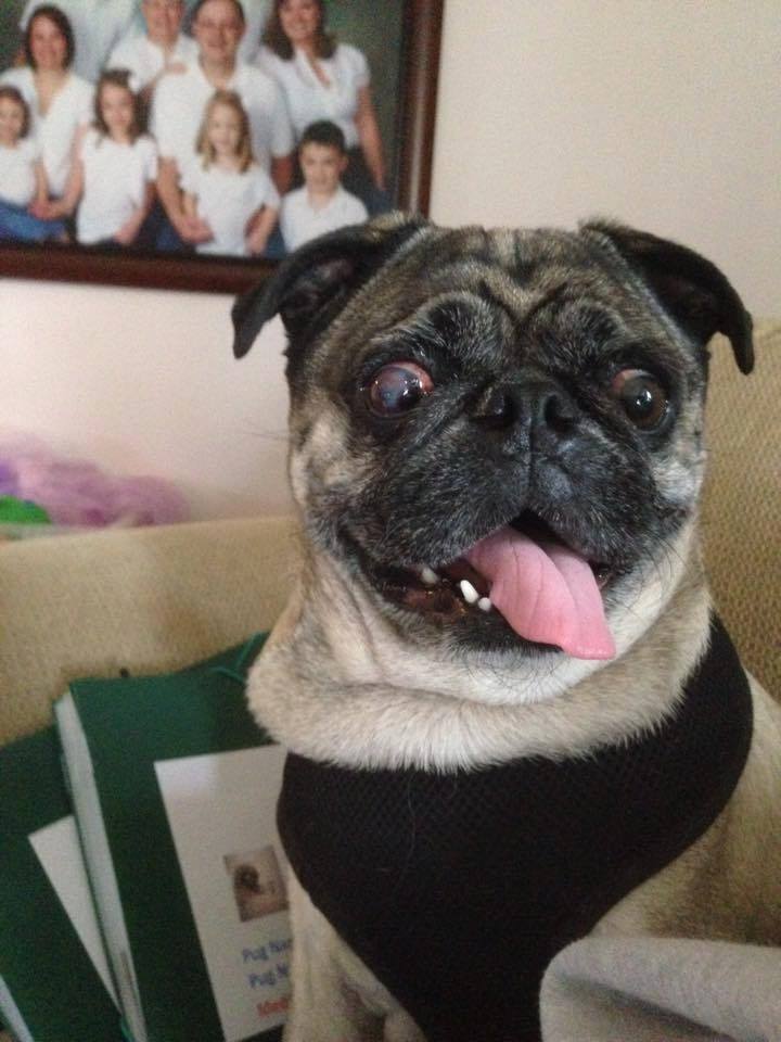 NEO # 33 - ADOPTED JUNE 2015