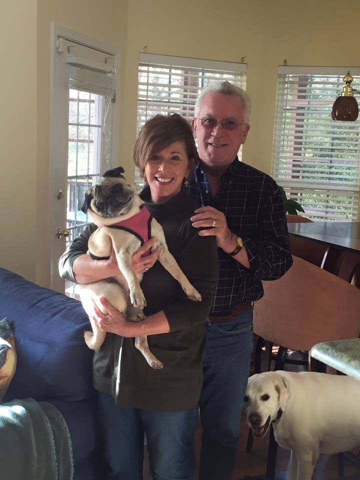 BELLA # 9 - ADOPTED NOVEMBER 2015