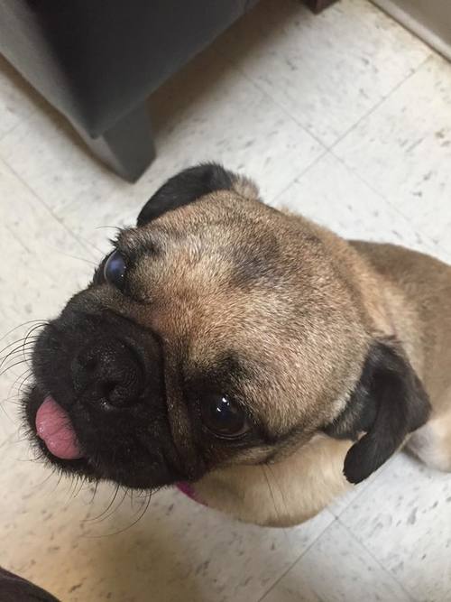 OTIS # 101 - ADOPTED JANUARY 2016