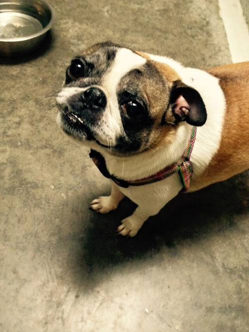 TATER # 112 - ADOPTED MARCH 2016