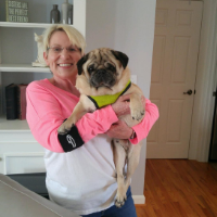 TOBY # 119 - ADOPTED MAY 2016