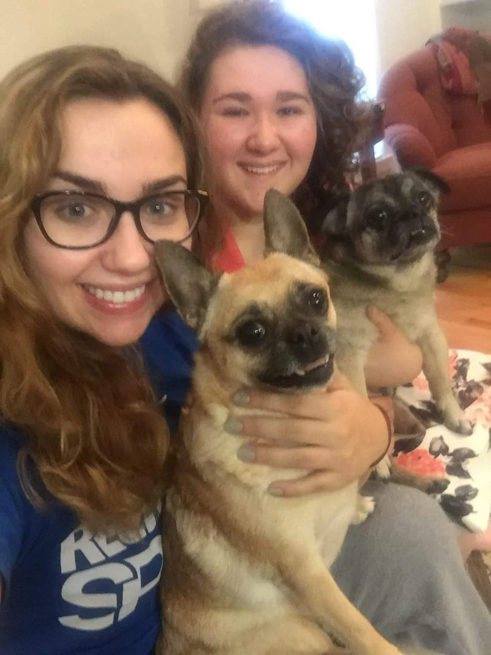 OTIS # 172 AND SALLY # 173 - ADOPTED MAY 2017