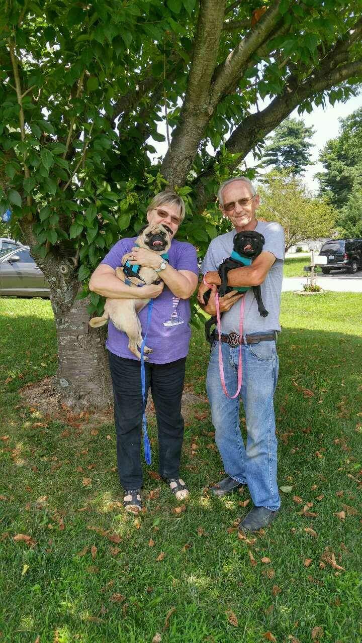 CISSY AND WALLY - ADOPTED JULY 2017