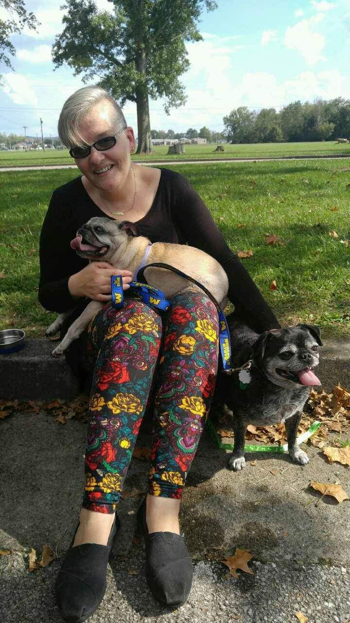 OTIS - ADOPTED SEPTEMBER 2017