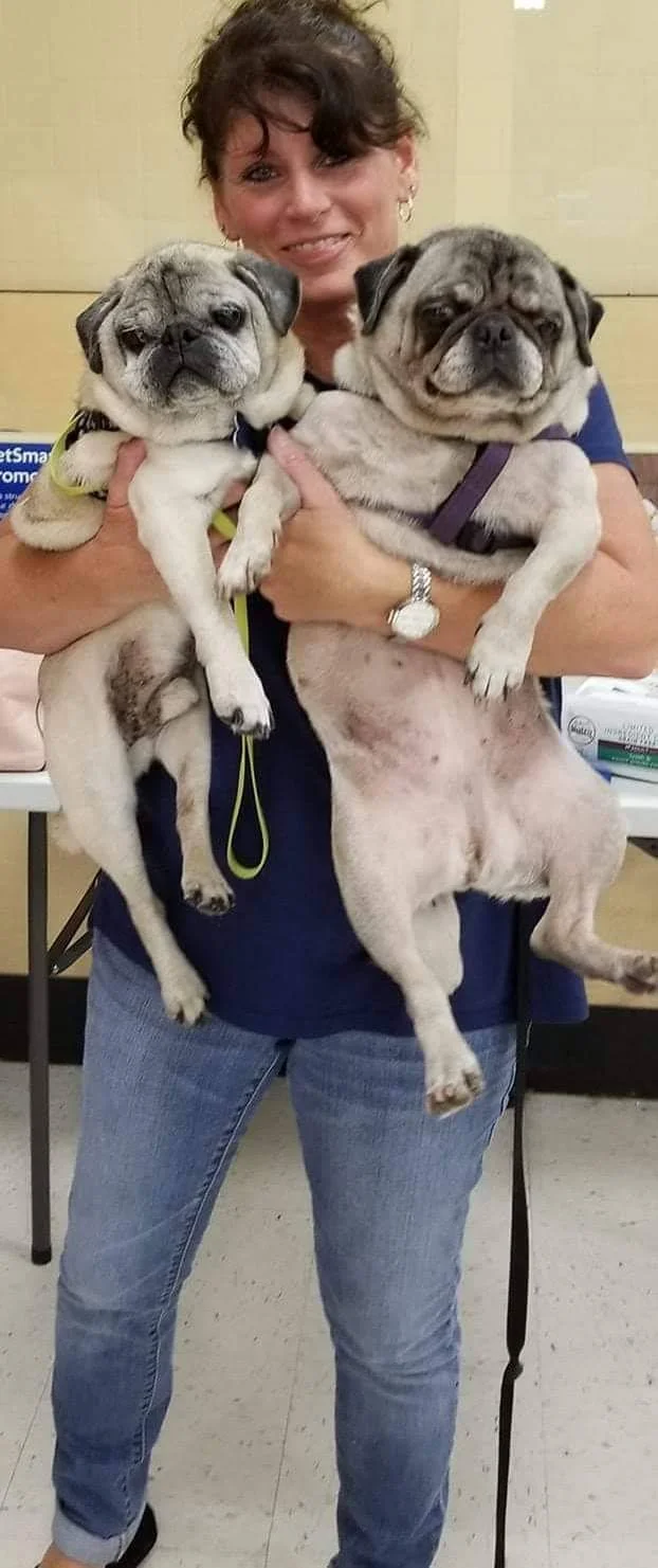 SAMSON # 249 AND DELILAH # 250 - ADOPTED SEPTEMBER 2018