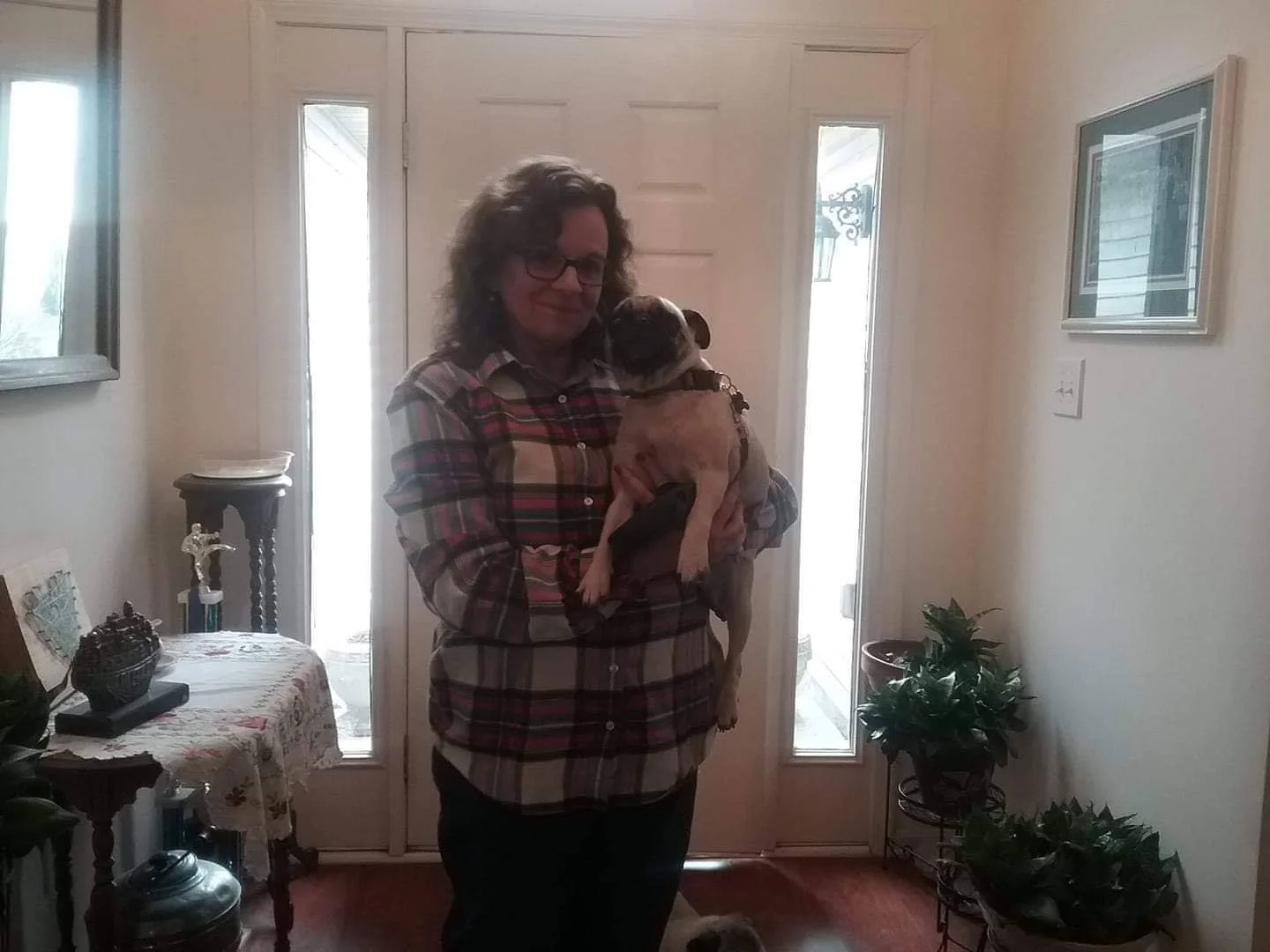 FANCY # 271 - ADOPTED NOVEMBER 2018