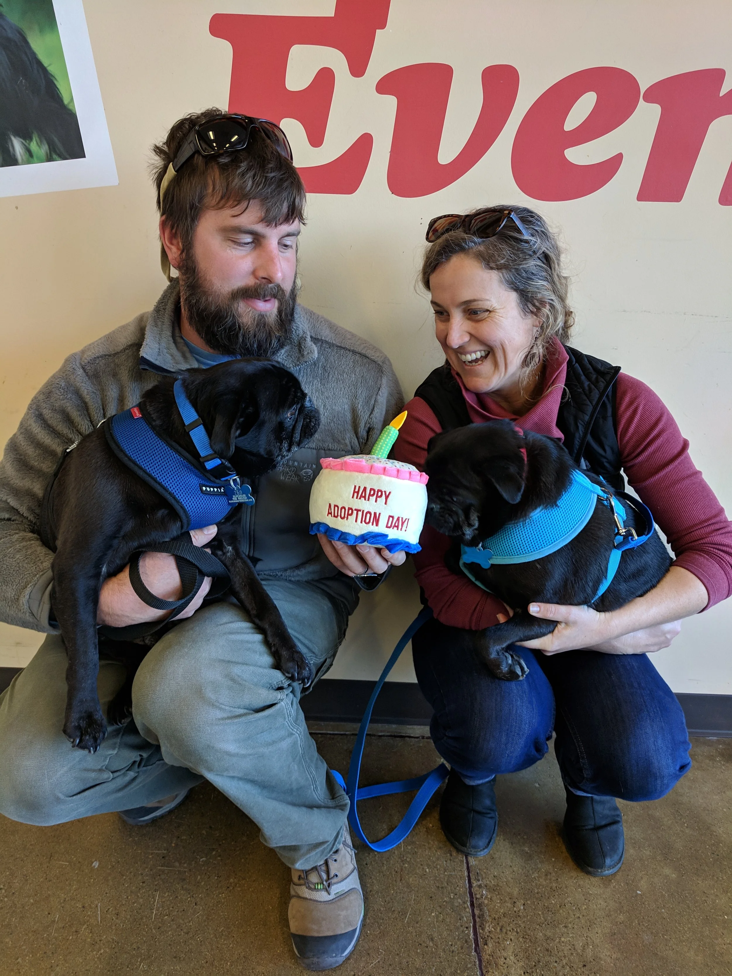 HARLEY # 259 AND OAKLEY # 260 - ADOPTED JANUARY 2019