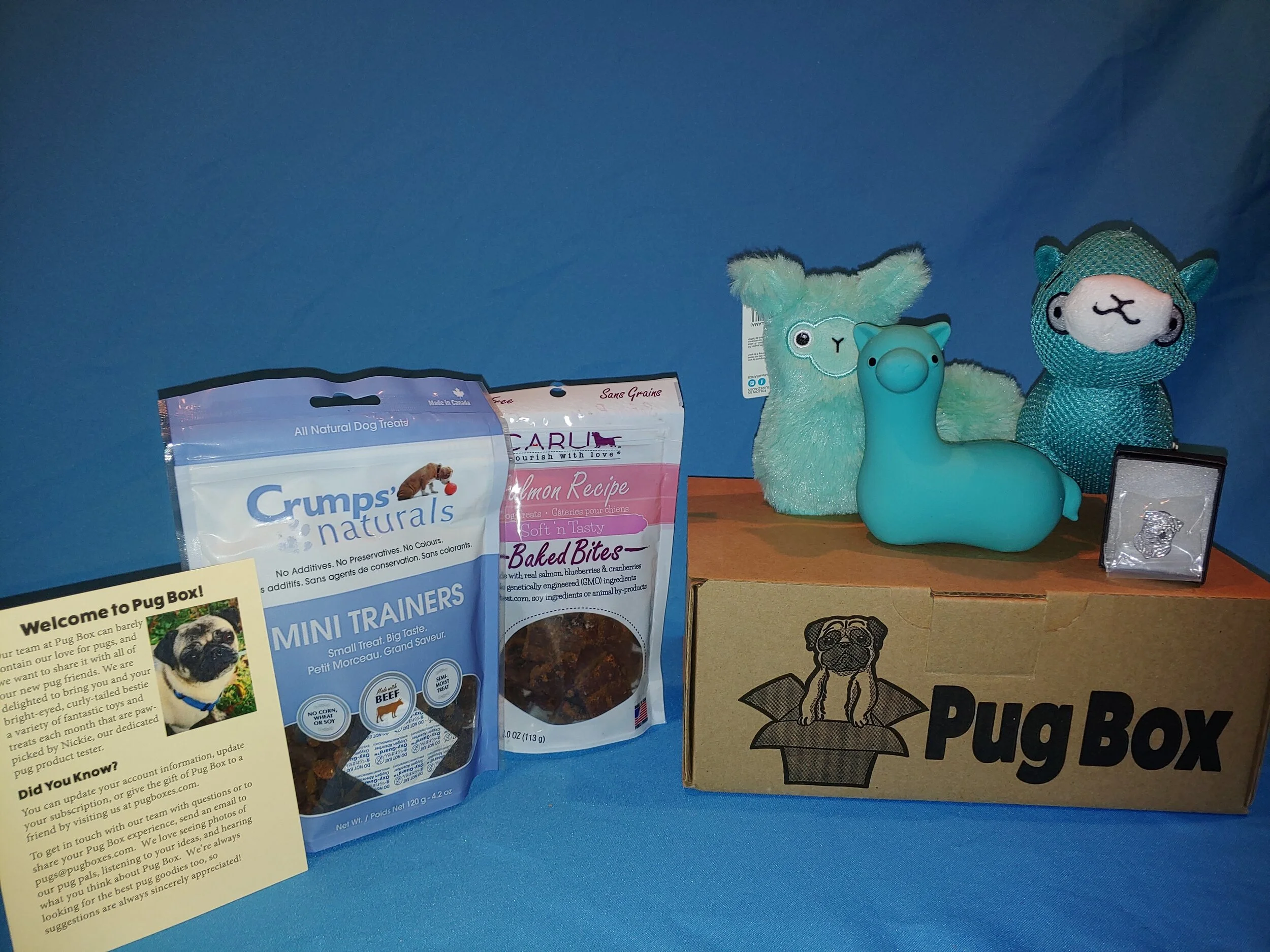 #69 - The Pug Box – Premium Pug Box
