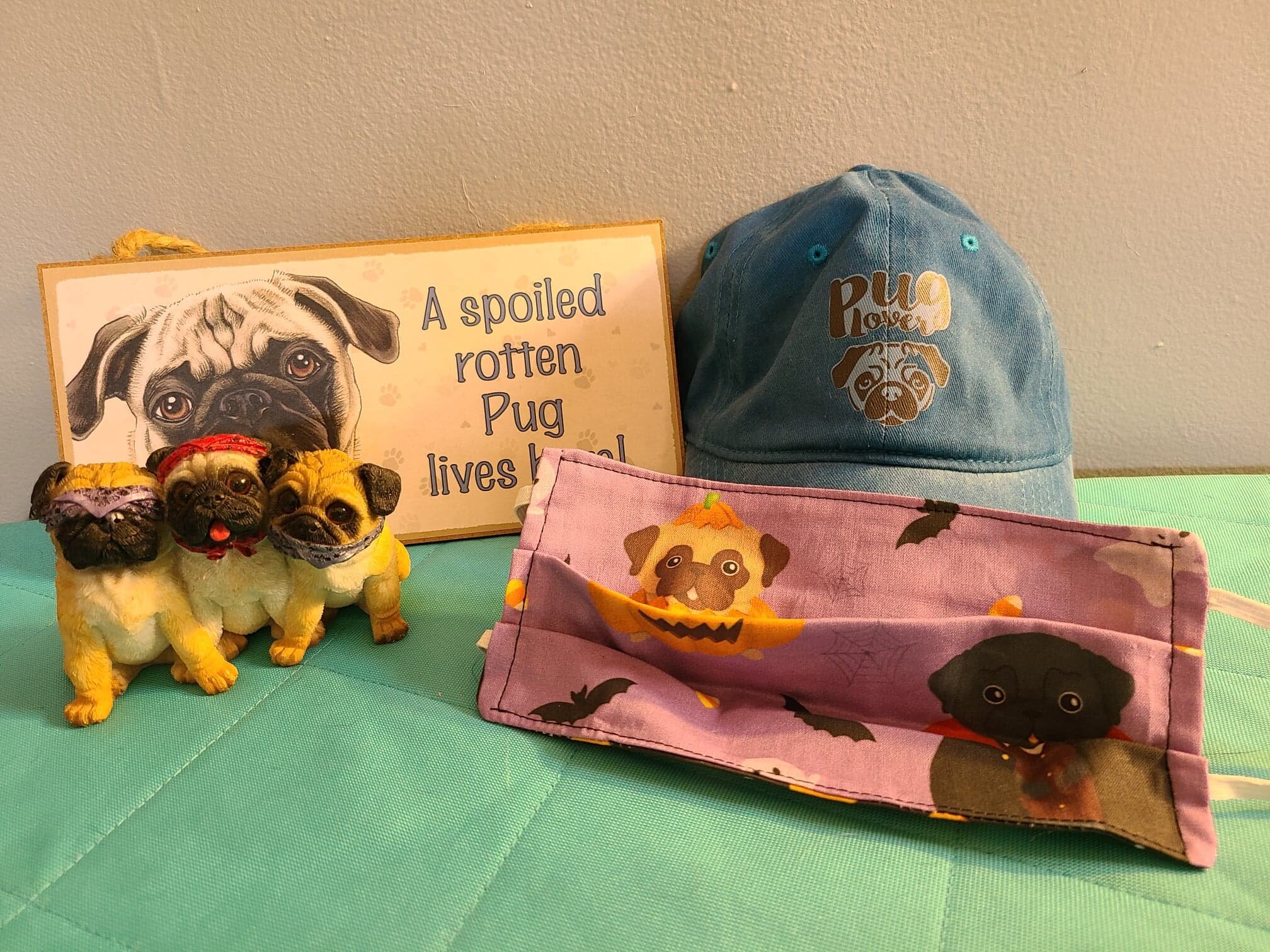 #81 Spoiled Rotten Pug