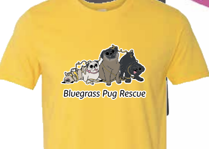 Screenshot 2025-08-17 at 5.05.41 PM.png