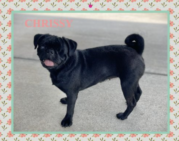 Screenshot 2025-10-15 at 3.19.14 PM.png