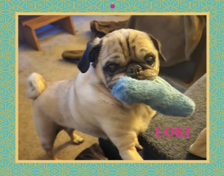 Screenshot 2025-10-15 at 3.19.24 PM.png