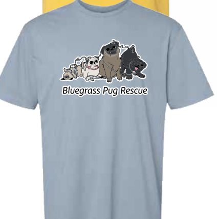 Screenshot 2025-08-17 at 5.05.50 PM.png