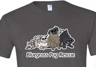 Screenshot 2025-08-17 at 5.05.56 PM.png