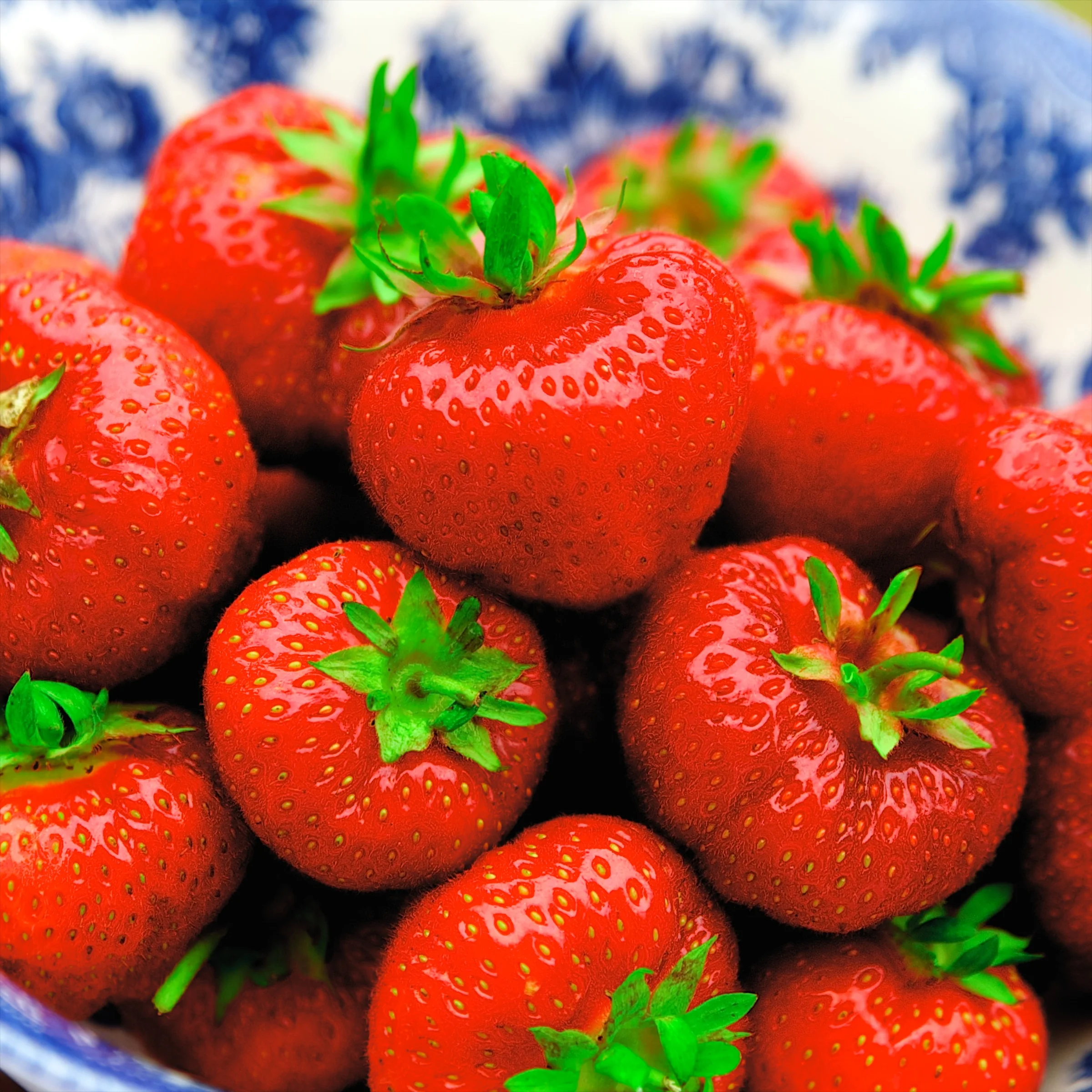 Norwegian Strawberries