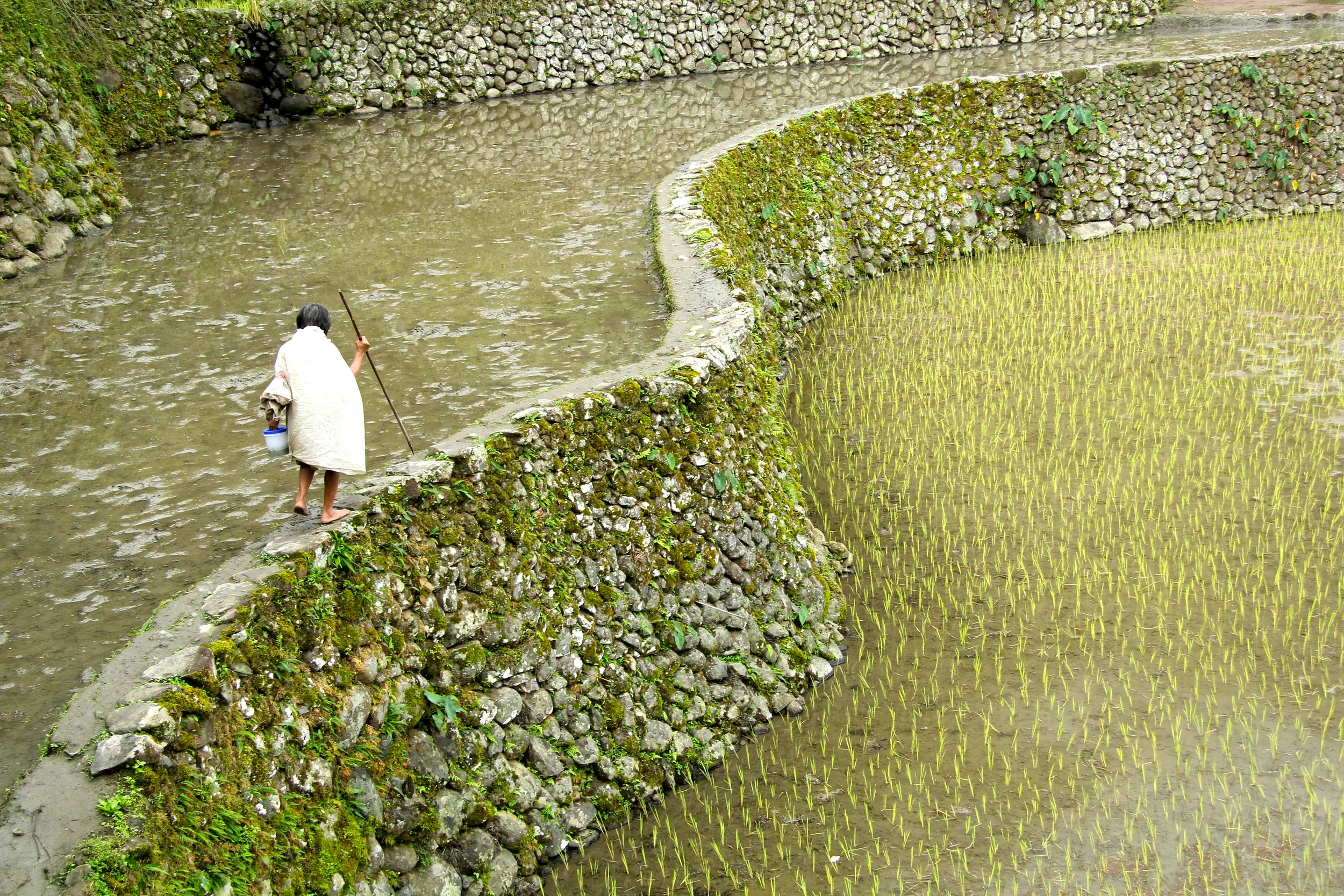 Somewhere in Batad - Day 2