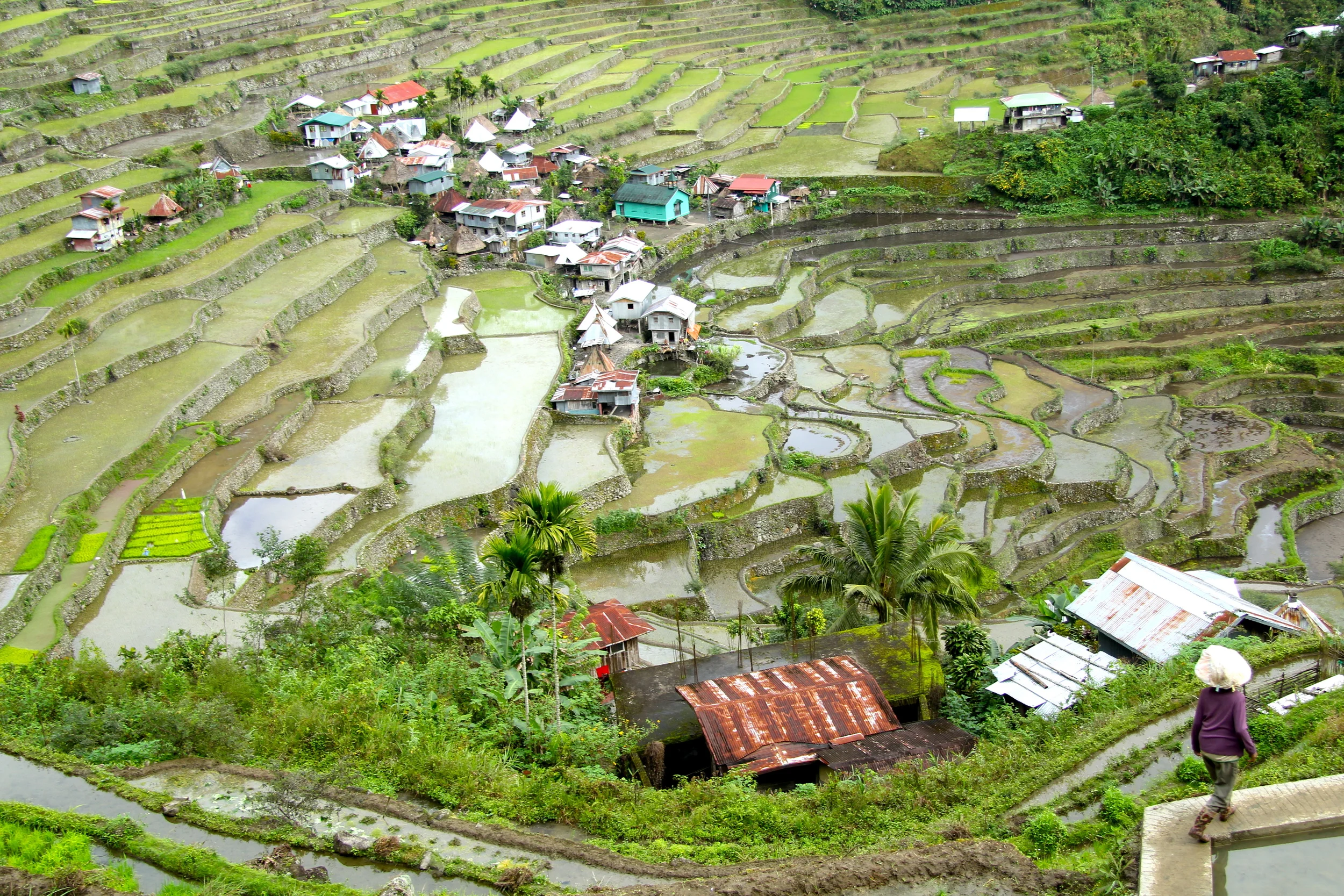 Somewhere in Batad - Day 3