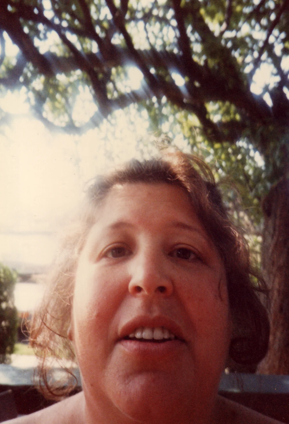 80.jpg