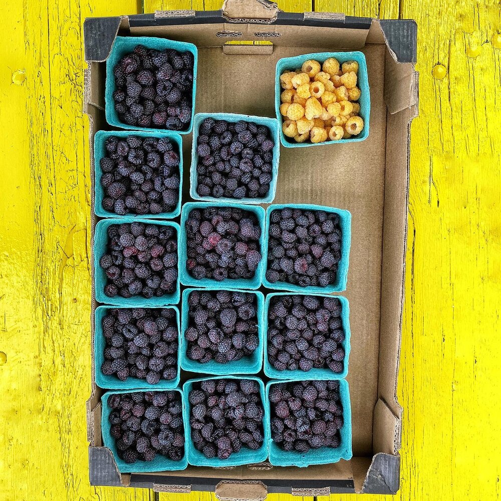 Black raspberries are exquisitely flavored, too delicate to be sold far from where they&rsquo;re grown, and only in season for two weeks here. I get a little weird about them.