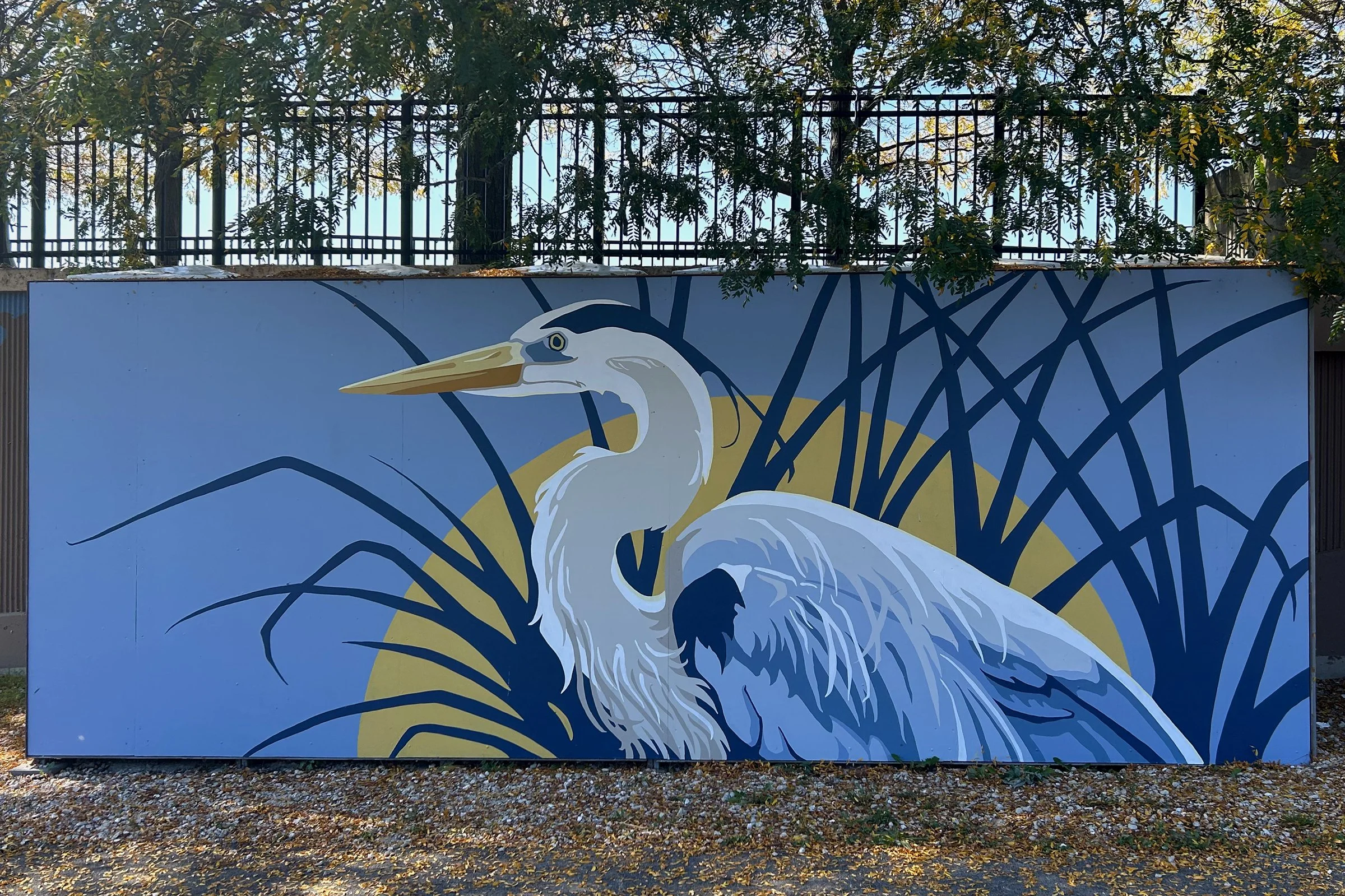 Heron.jpg