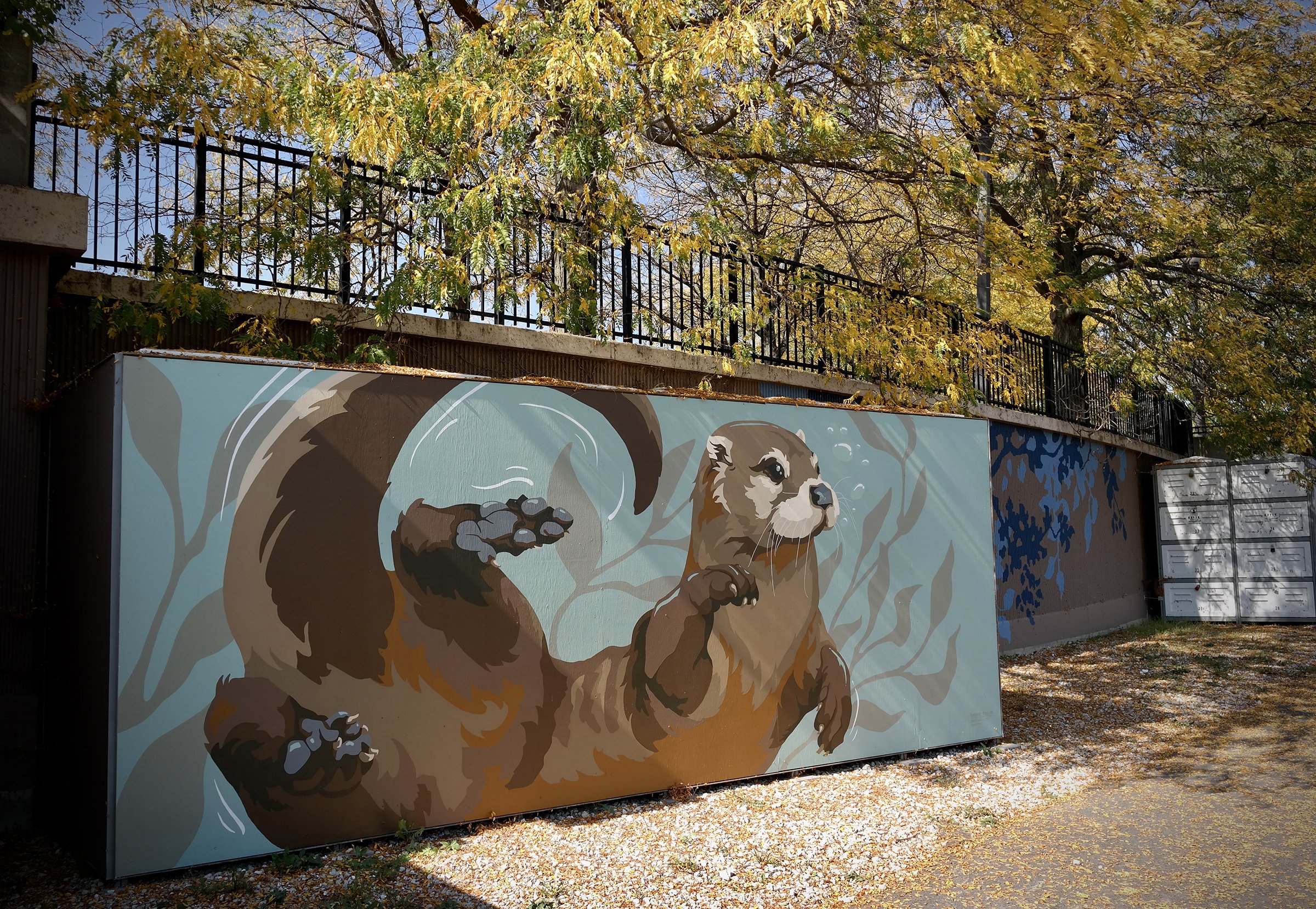 Otter.JPG