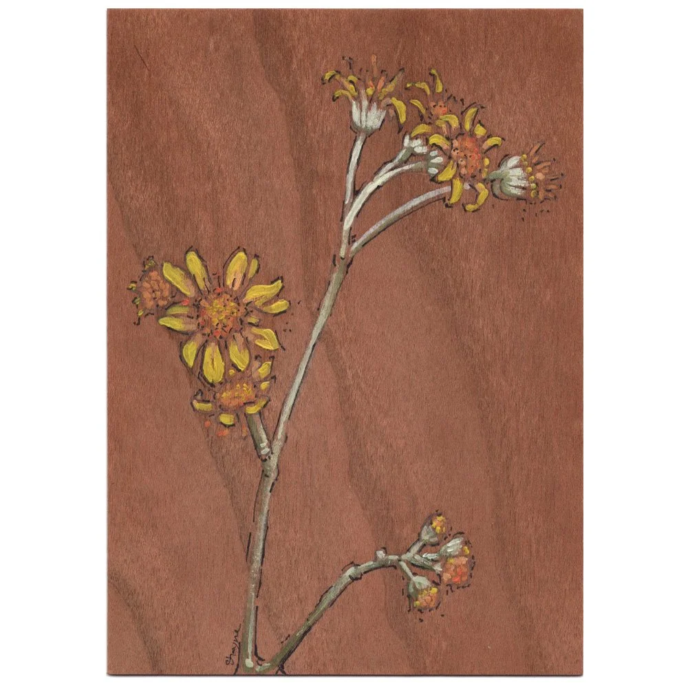yellowflowers.jpg
